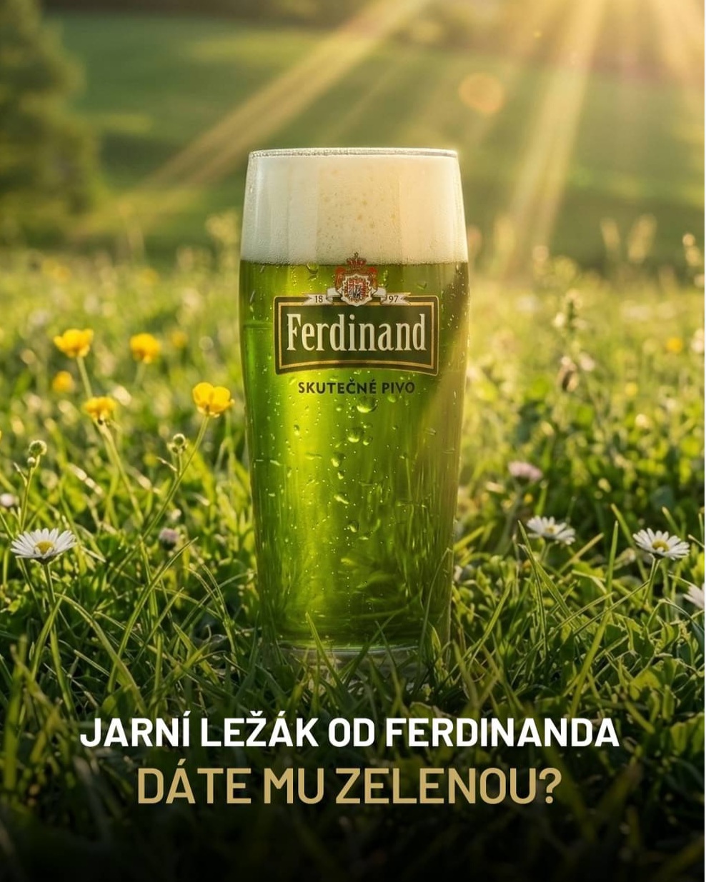 zelené pivo