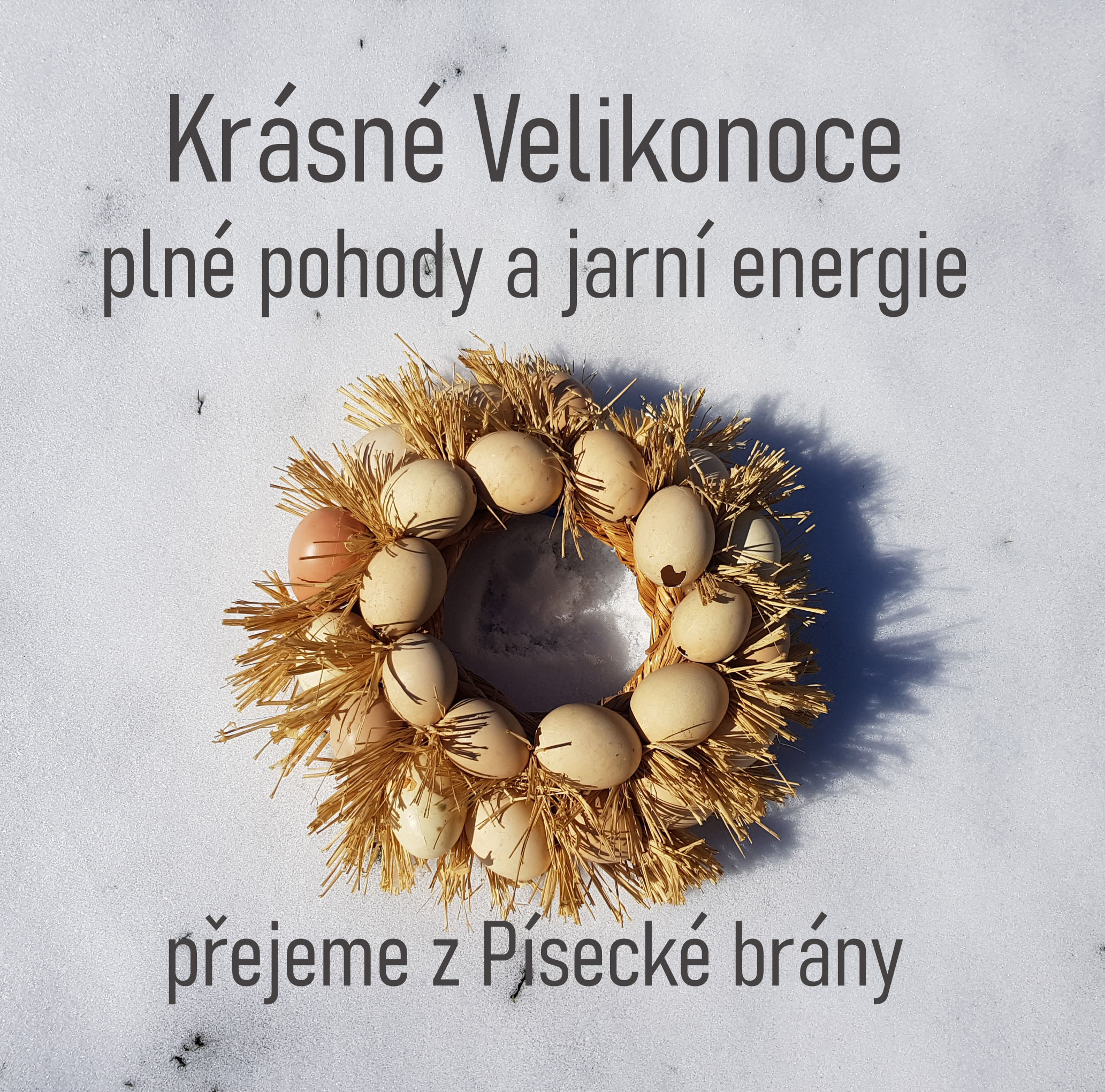 Příspěvek bez názvu 13133